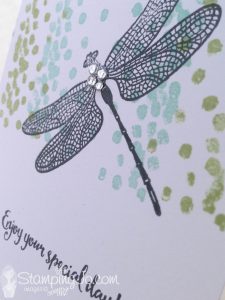 Dragonfly Dreams stamp set, Stampin Up, 2017 Occasions Catalogue, quick and easy, no layer stamped card