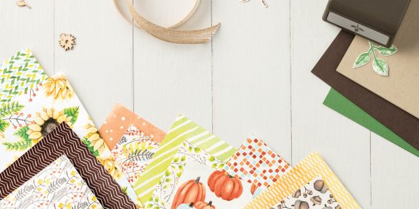 Painted Autumn Designer Series Paper, Touches of Nature Elements & Leaf Punch, new from Stampin Up